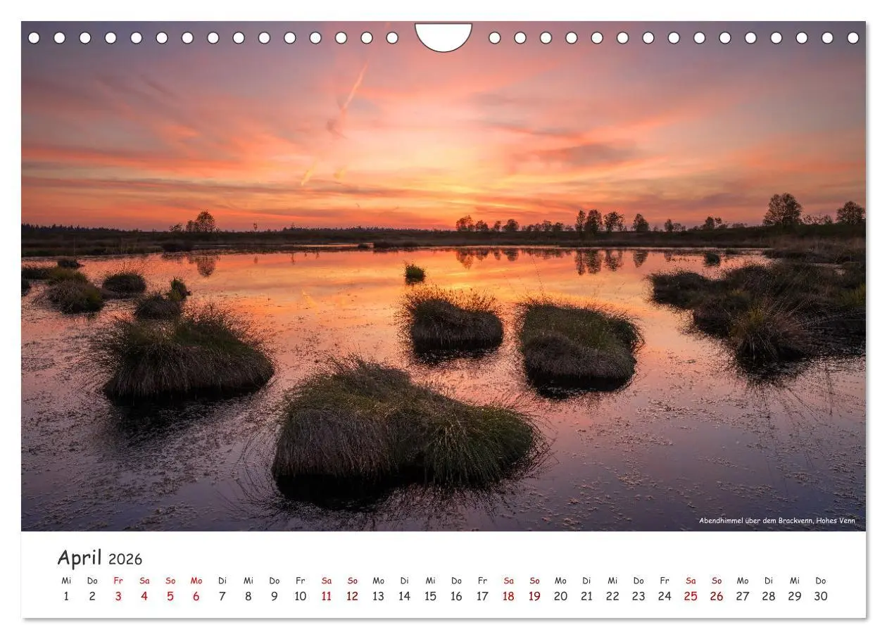 Bild: 9783457270677 | Heimat Entdecken - Eifel (Wandkalender 2026 DIN A4 quer), CALVENDO...