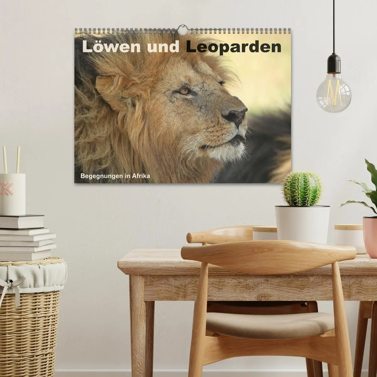 Bild: 9783516050677 | Löwen und Leoparden - Begegnungen in Afrika (Wandkalender 2026 DIN...