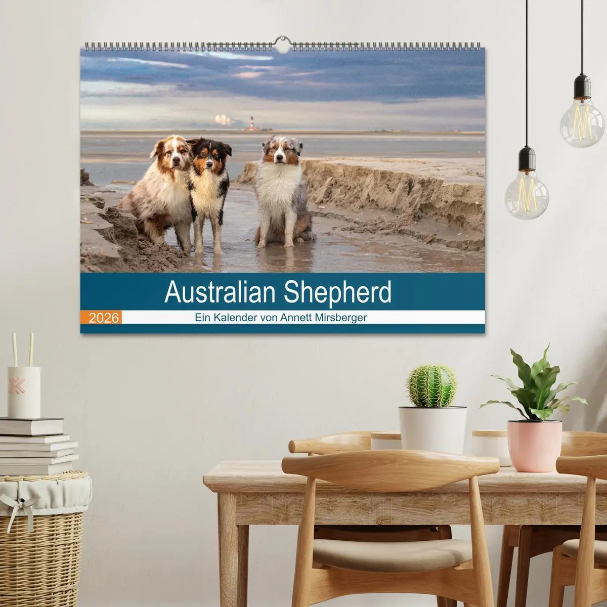 Bild: 9783516120677 | Australian Shepherd 2026 (Wandkalender 2026 DIN A2 quer), CALVENDO...