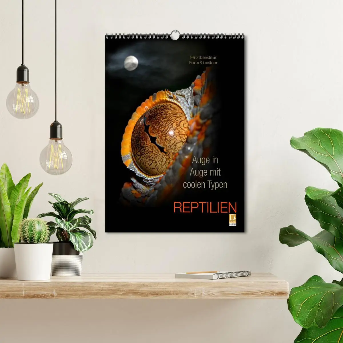 Bild: 9783516430677 | Auge in Auge mit coolen Typen - REPTILIEN (Wandkalender 2026 DIN A3...