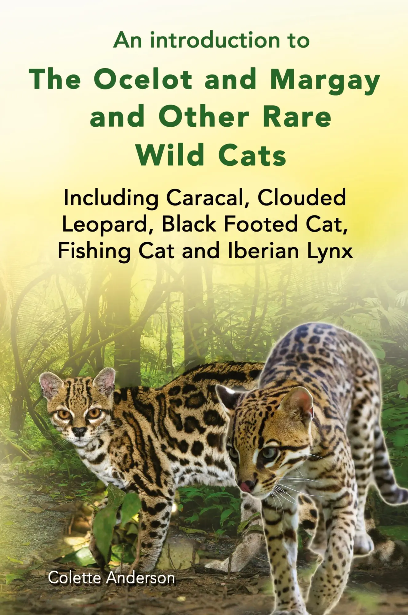 Cover: 9781909820777 | An introduction to The Ocelot and Margay and Other Rare Wild Cats...