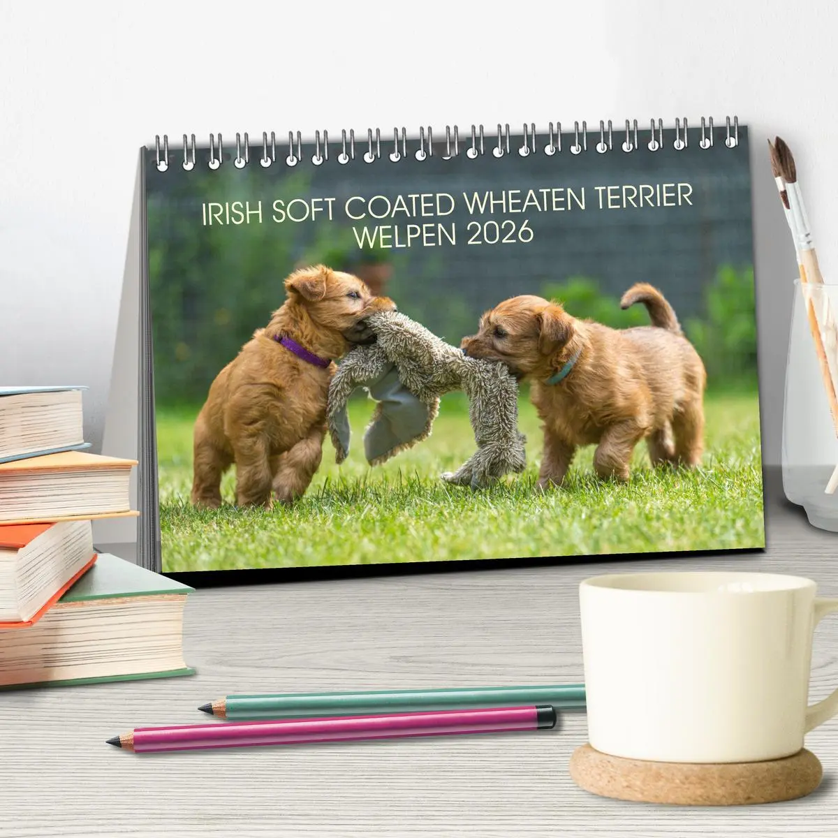 Bild: 9783457630877 | IRISH SOFT COATED WHEATEN TERRIER WELPEN 2026 (Tischkalender 2026...