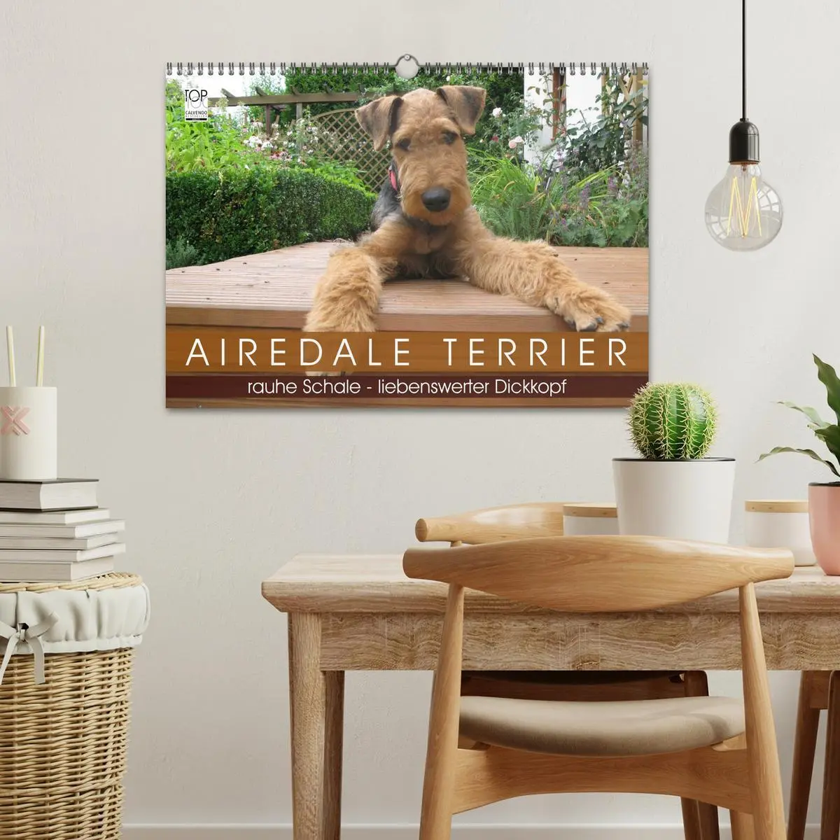Bild: 9783516100877 | Airedale Terrier (Wandkalender 2026 DIN A3 quer), CALVENDO...