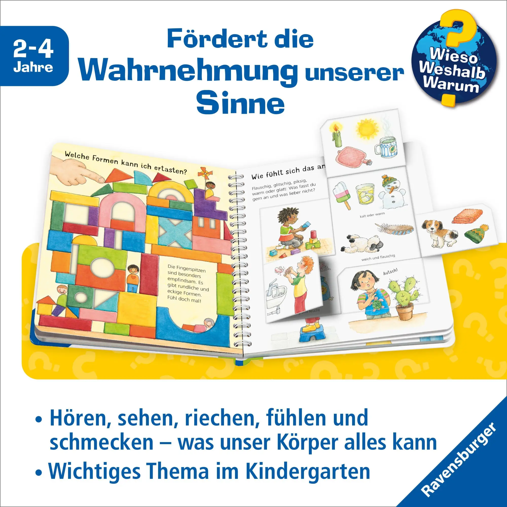 Bild: 9783473600977 | Wieso? Weshalb? Warum? junior, Band 36 - Sehen, riechen, hören | Droop