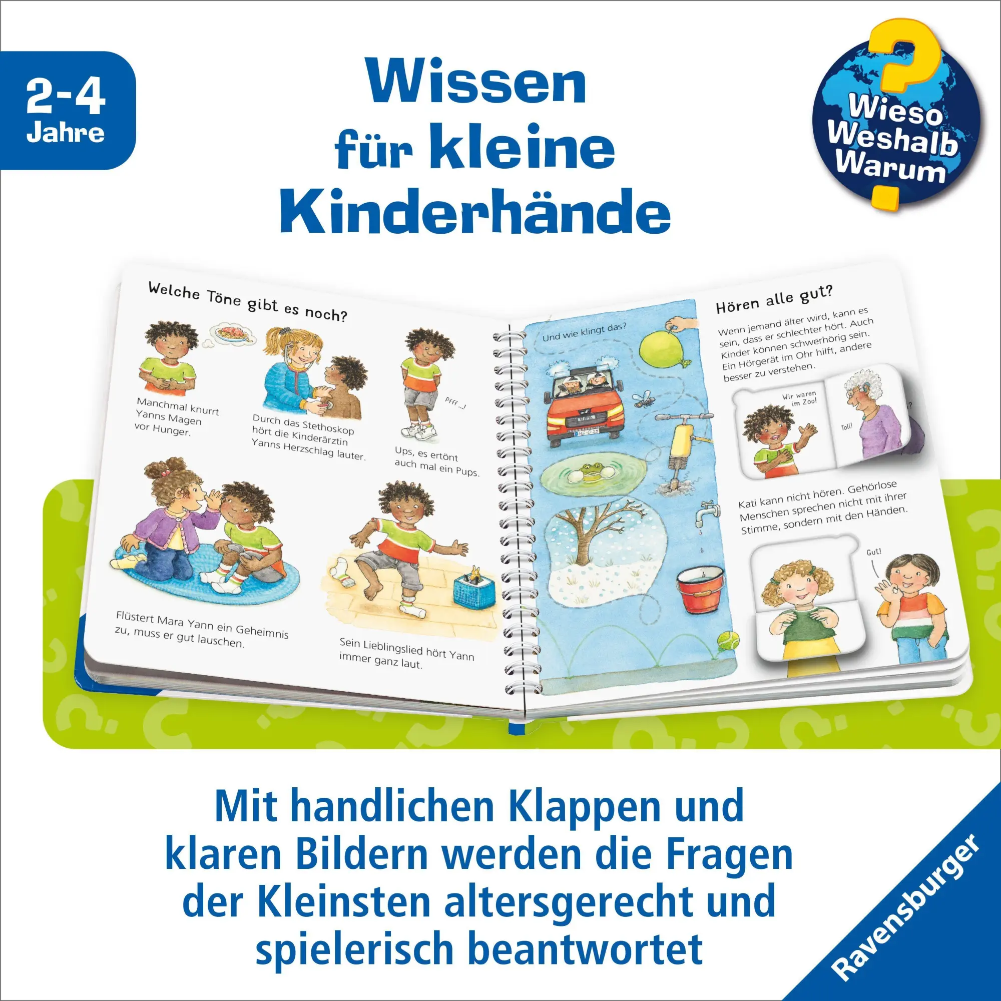 Bild: 9783473600977 | Wieso? Weshalb? Warum? junior, Band 36 - Sehen, riechen, hören | Droop
