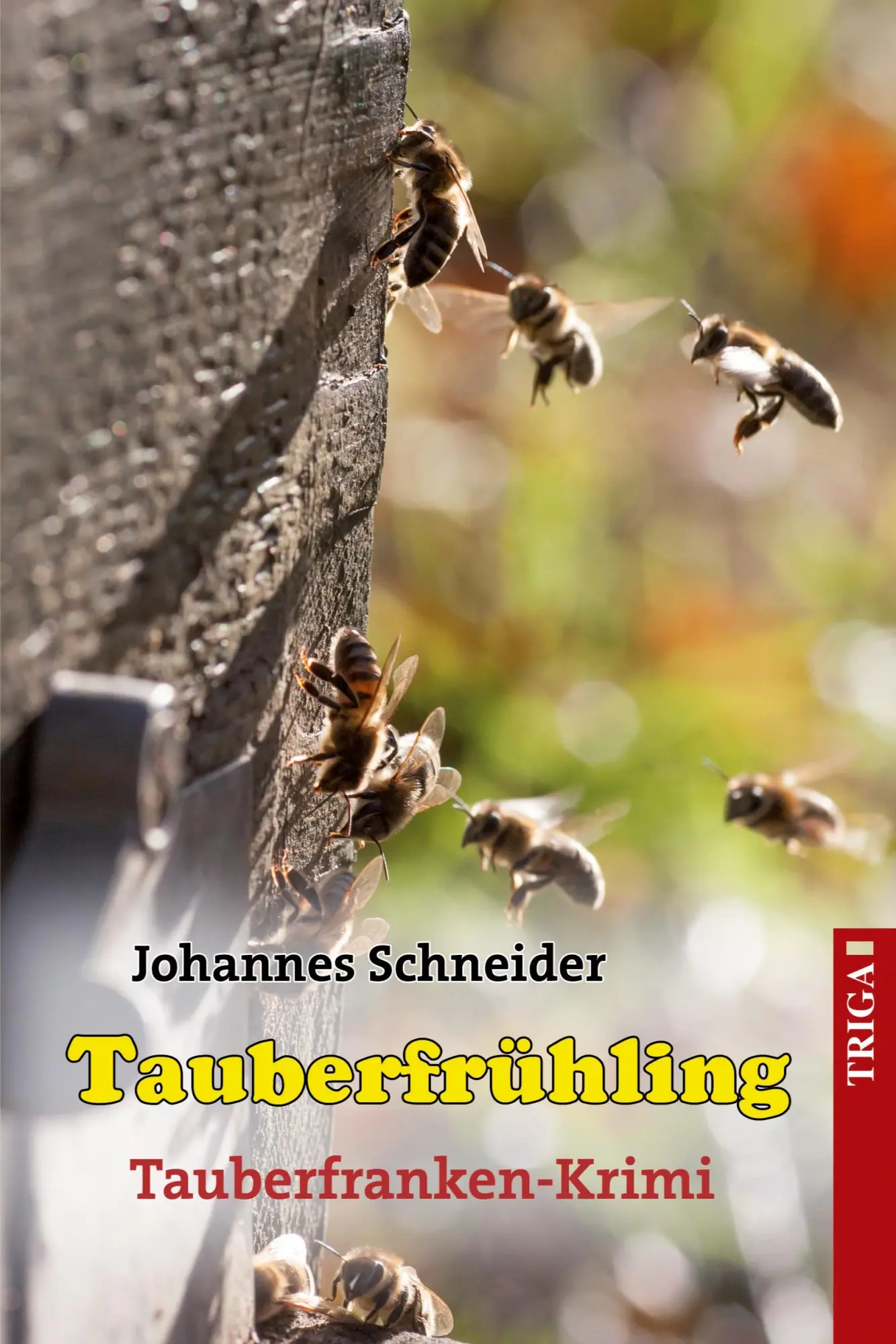 Cover: 9783958280977 | Tauberfrühling | Tauberfranken-Krimi | Johannes Schneider | Buch
