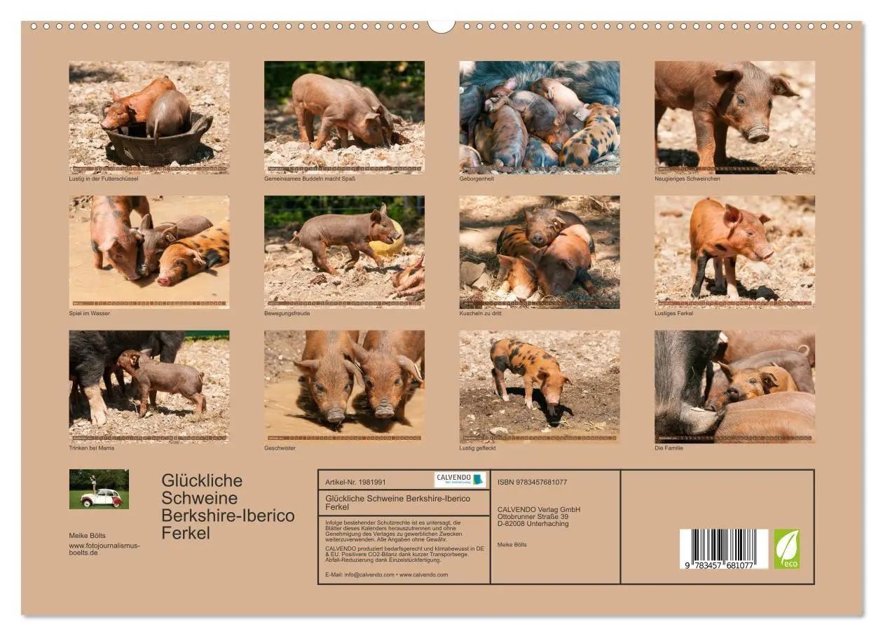 Bild: 9783457681077 | Glückliche Schweine Berkshire-Iberico Ferkel (hochwertiger Premium...