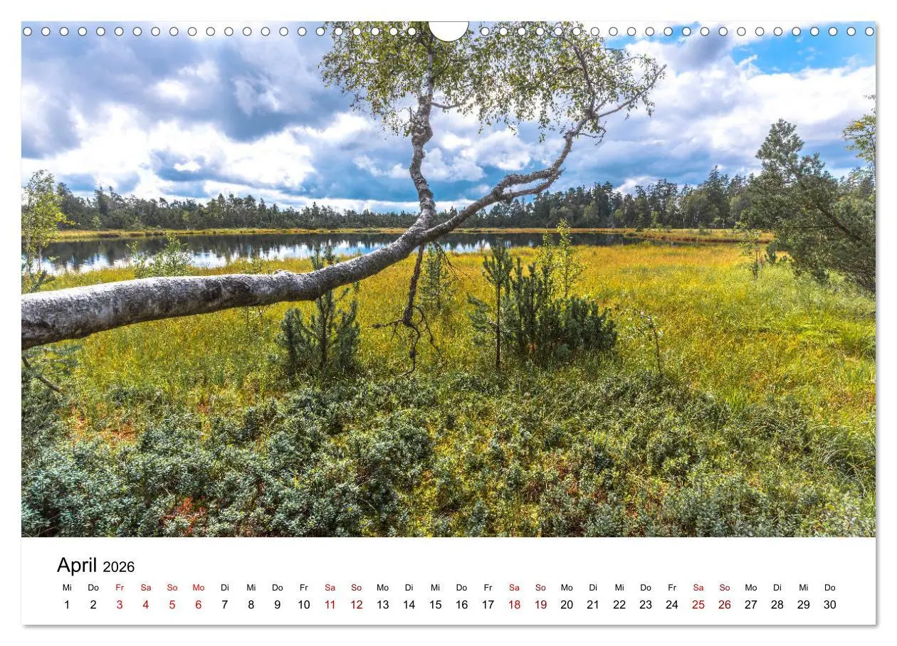 Bild: 9783457751077 | Schwarzwald, Seen und Hochmoore (Wandkalender 2026 DIN A3 quer),...