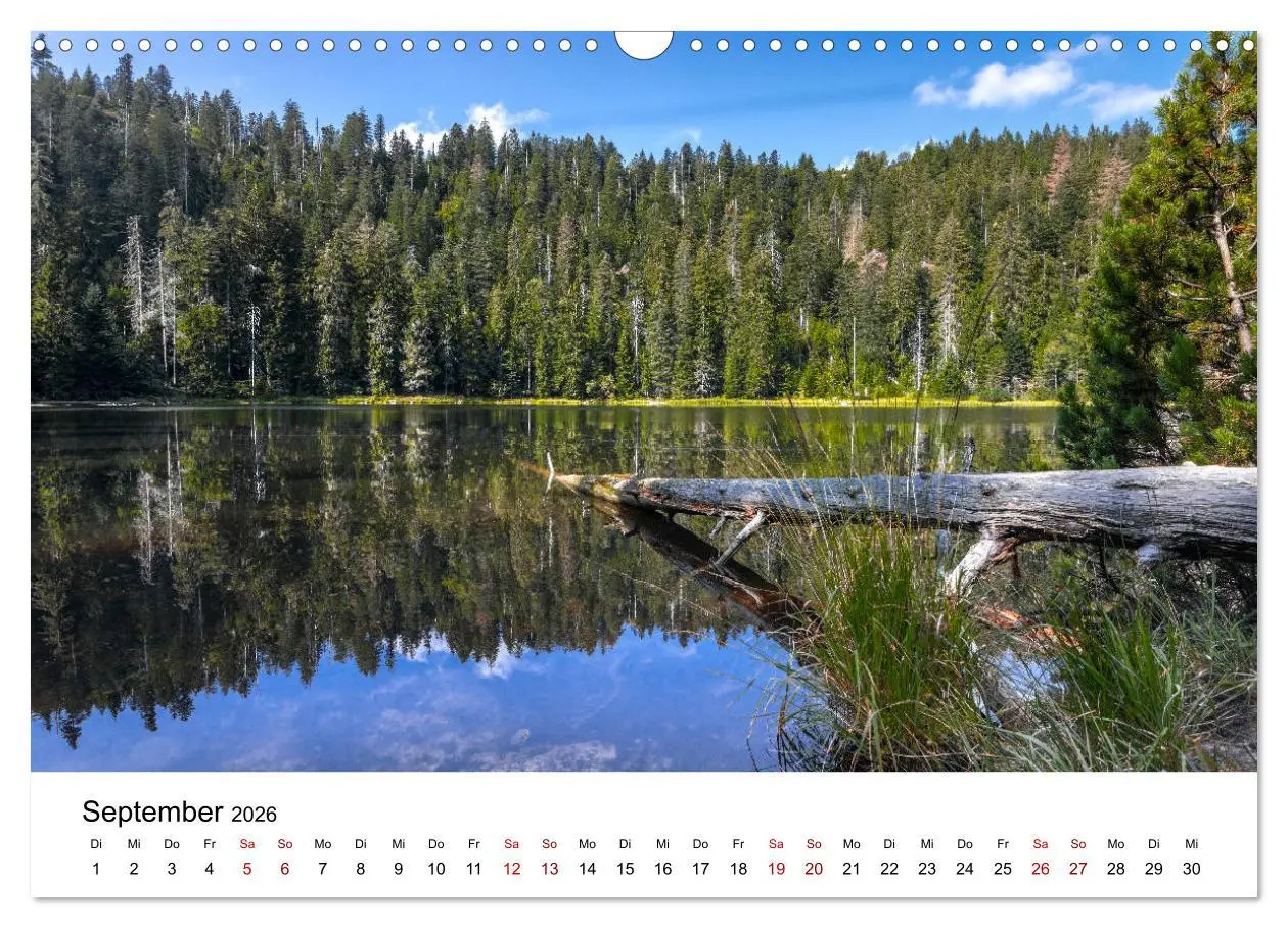 Bild: 9783457751077 | Schwarzwald, Seen und Hochmoore (Wandkalender 2026 DIN A3 quer),...