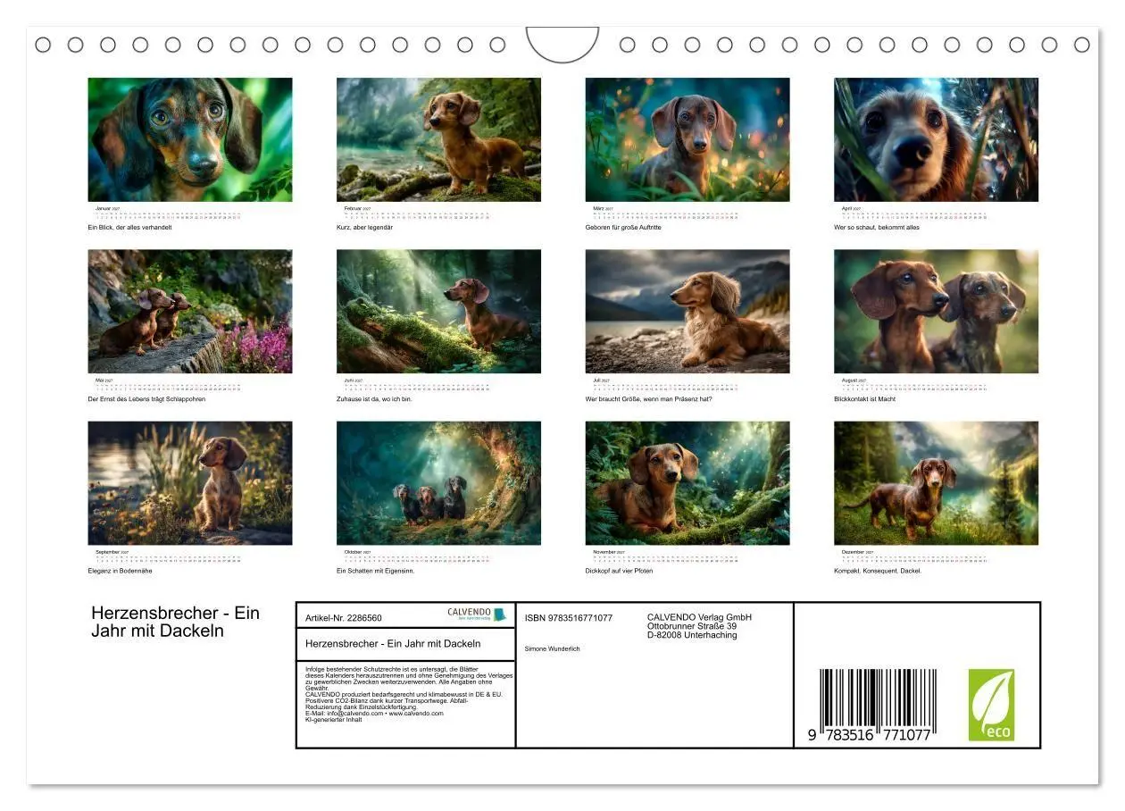 Bild: 9783516771077 | Herzensbrecher - Ein Jahr mit Dackeln (Wandkalender 2027 DIN A4...