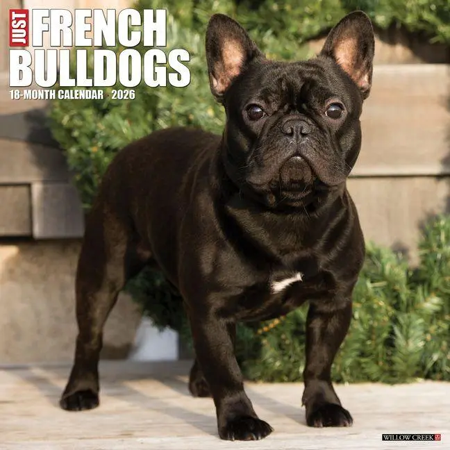 Cover: 9781549251177 | French Bulldogs 2026 Wall Calendar | Willow Creek Press | Kalender