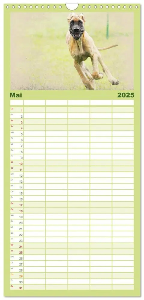 Bild: 9783457121177 | Familienplaner 2025 - Hundewelpen 2025 mit 5 Spalten (Wandkalender,...