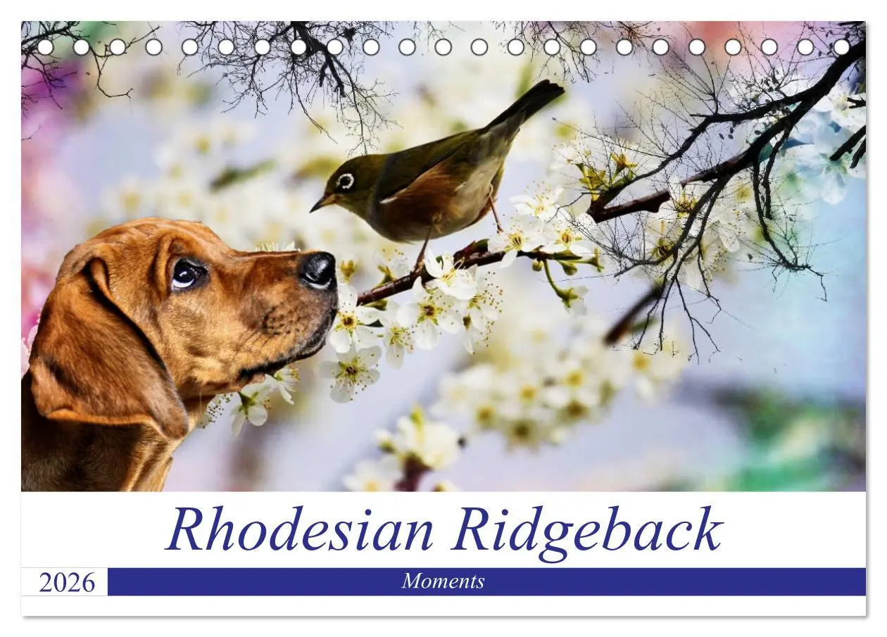 Cover: 9783457741177 | Rhodesian Ridgeback - Moments (Tischkalender 2026 DIN A5 quer),...