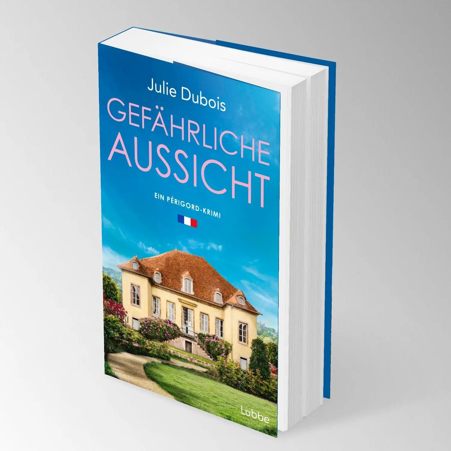 Bild: 9783757701277 | Gefährliche Aussicht | Julie Dubois | Taschenbuch | 352 S. | Deutsch