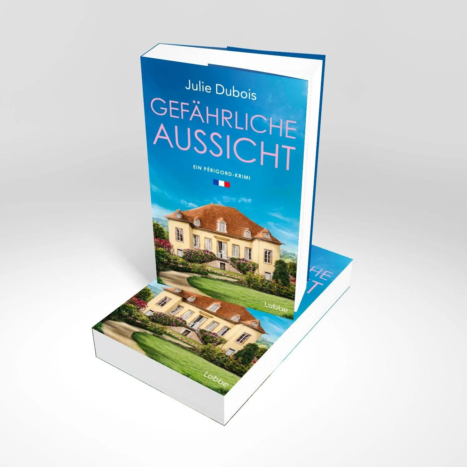 Bild: 9783757701277 | Gefährliche Aussicht | Julie Dubois | Taschenbuch | 352 S. | Deutsch