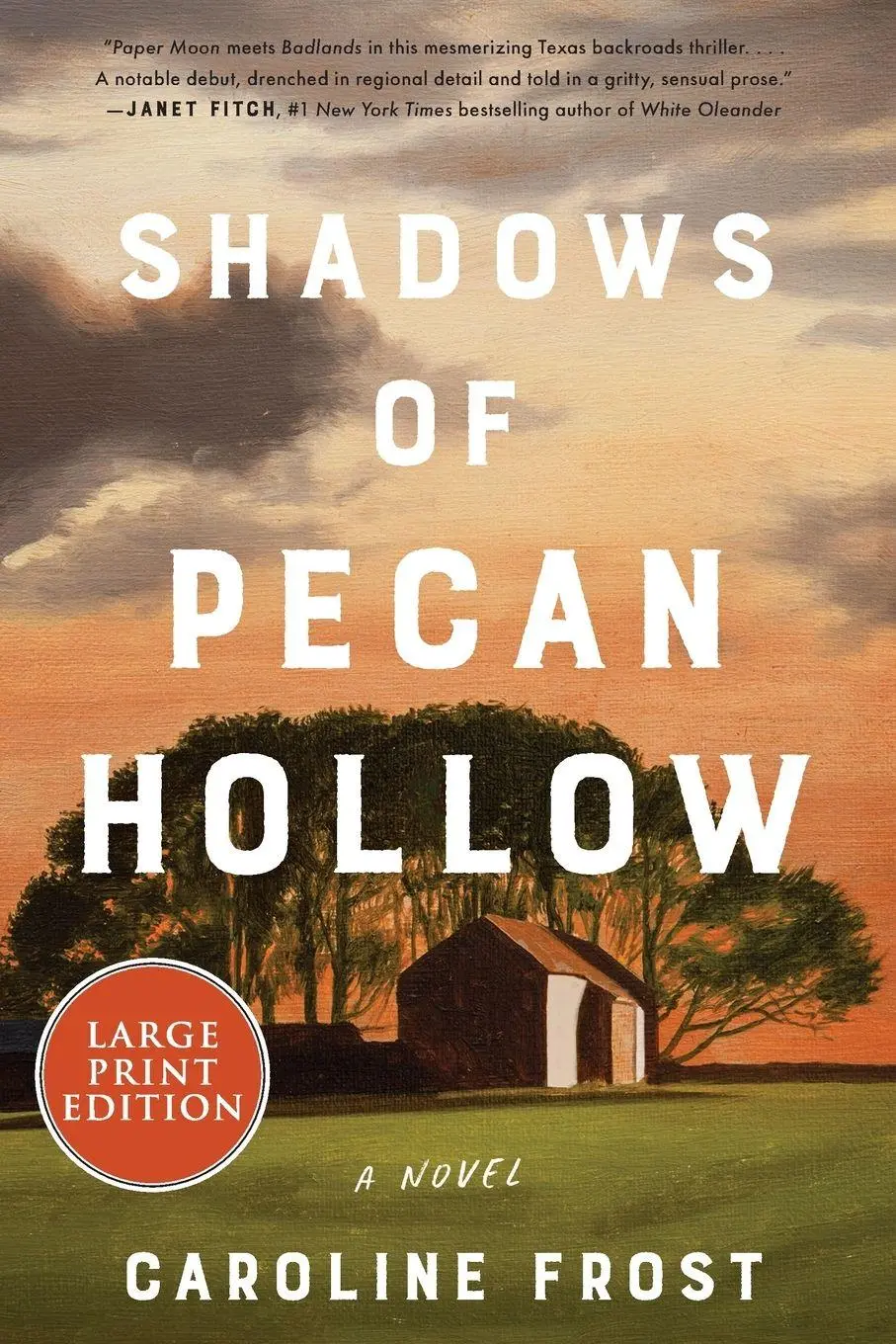Cover: 9780063211377 | Shadows of Pecan Hollow LP | Caroline Frost | Taschenbuch | Englisch