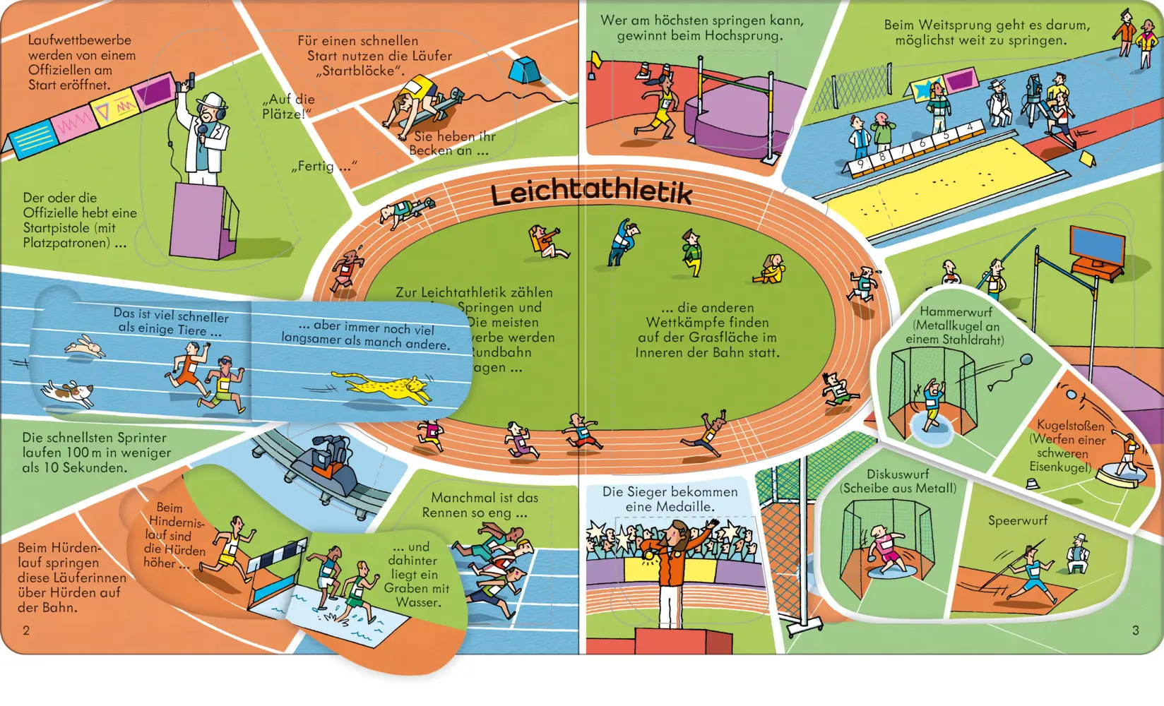 Bild: 9781035701377 | Aufklappen und Entdecken: Sport | Rob Lloyd Jones | Buch | 14 S.