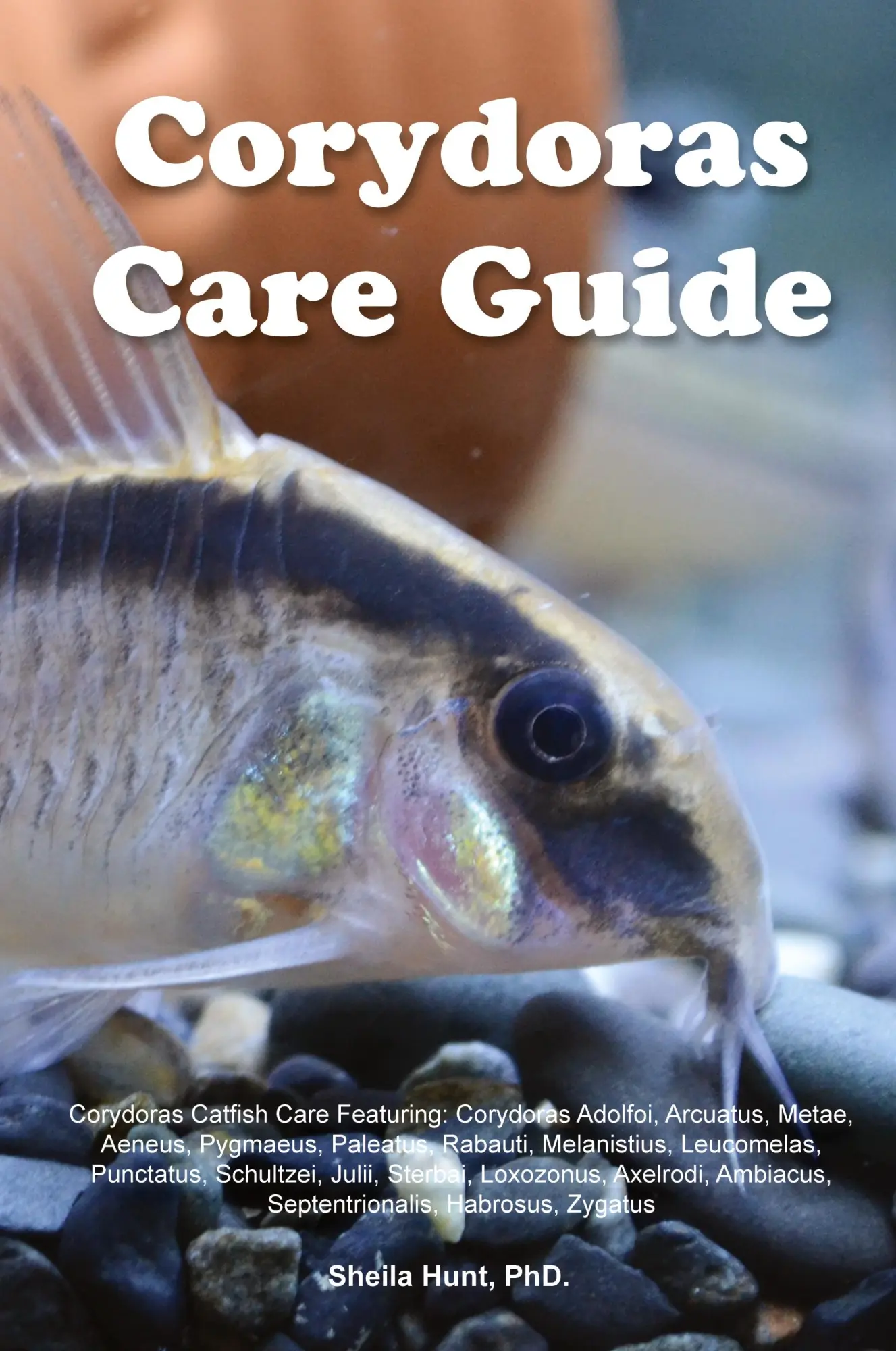 Cover: 9781395861377 | Corydoras Care Guide. Corydoras Catfish Care Featuring | Sheila Hunt