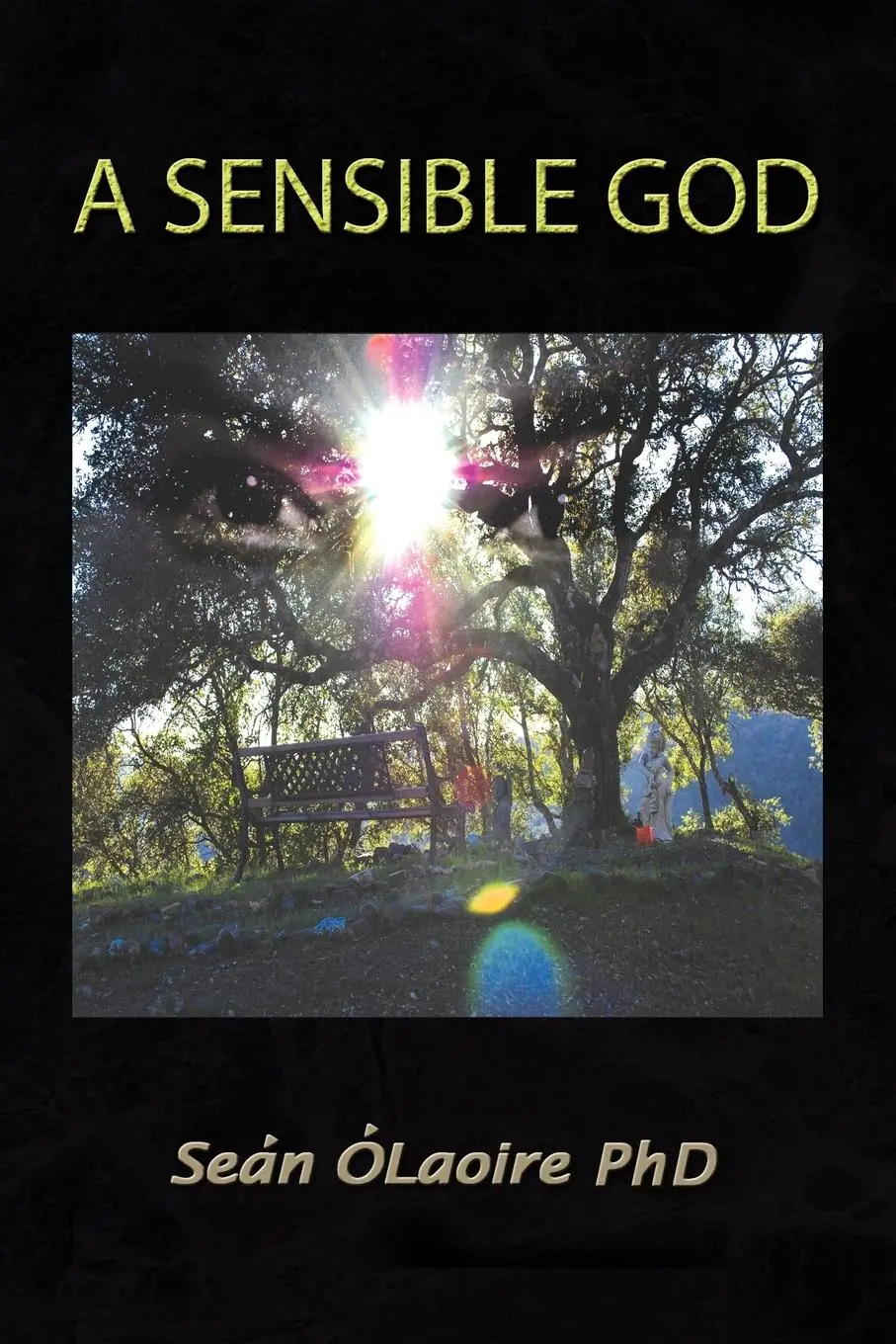 Cover: 9781436371377 | A Sensible God | Sen Laoire (u. a.) | Taschenbuch | Englisch | 2008