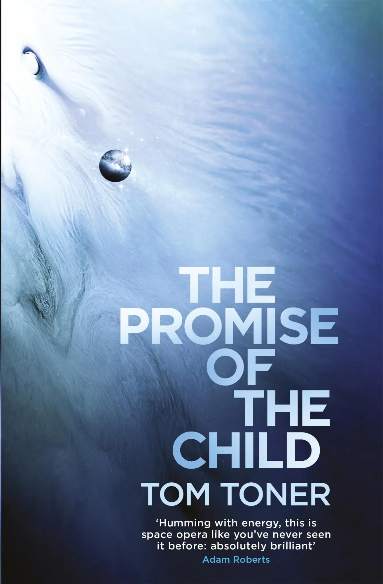 Cover: 9781473211377 | The Promise of the Child | Tom Toner | Taschenbuch | Englisch | 2016