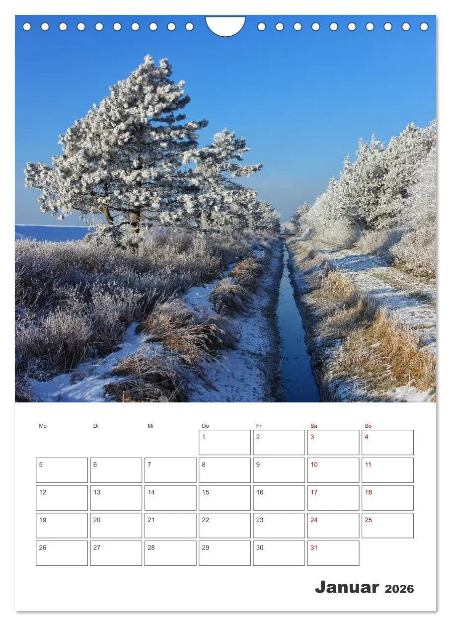Bild: 9783516361377 | Sankt Peter-Ording Sonne, Strand und Meer (Wandkalender 2026 DIN A4...