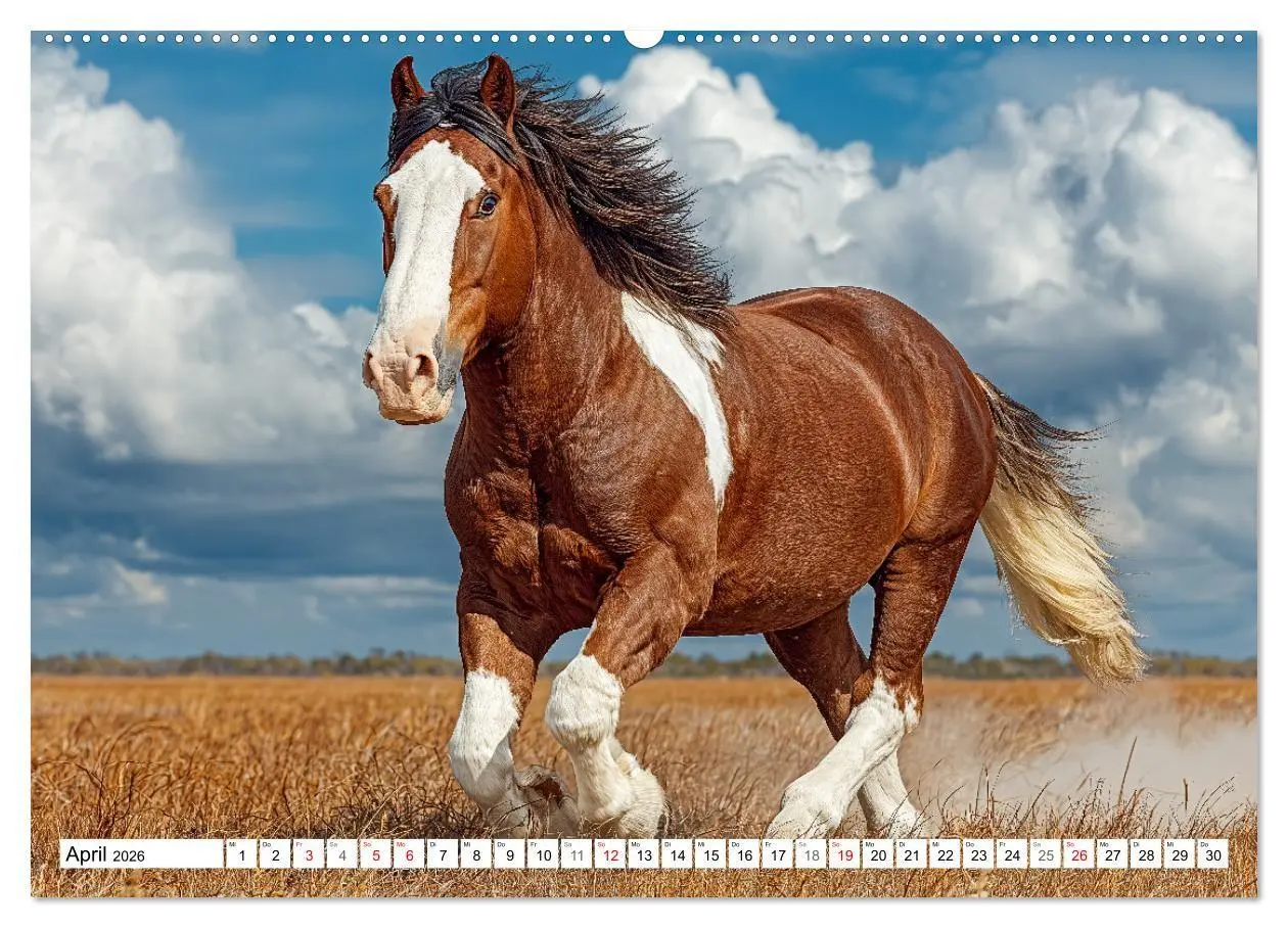 Bild: 9783516671377 | Pferde in freier Natur (Wandkalender 2026 DIN A2 quer), CALVENDO...