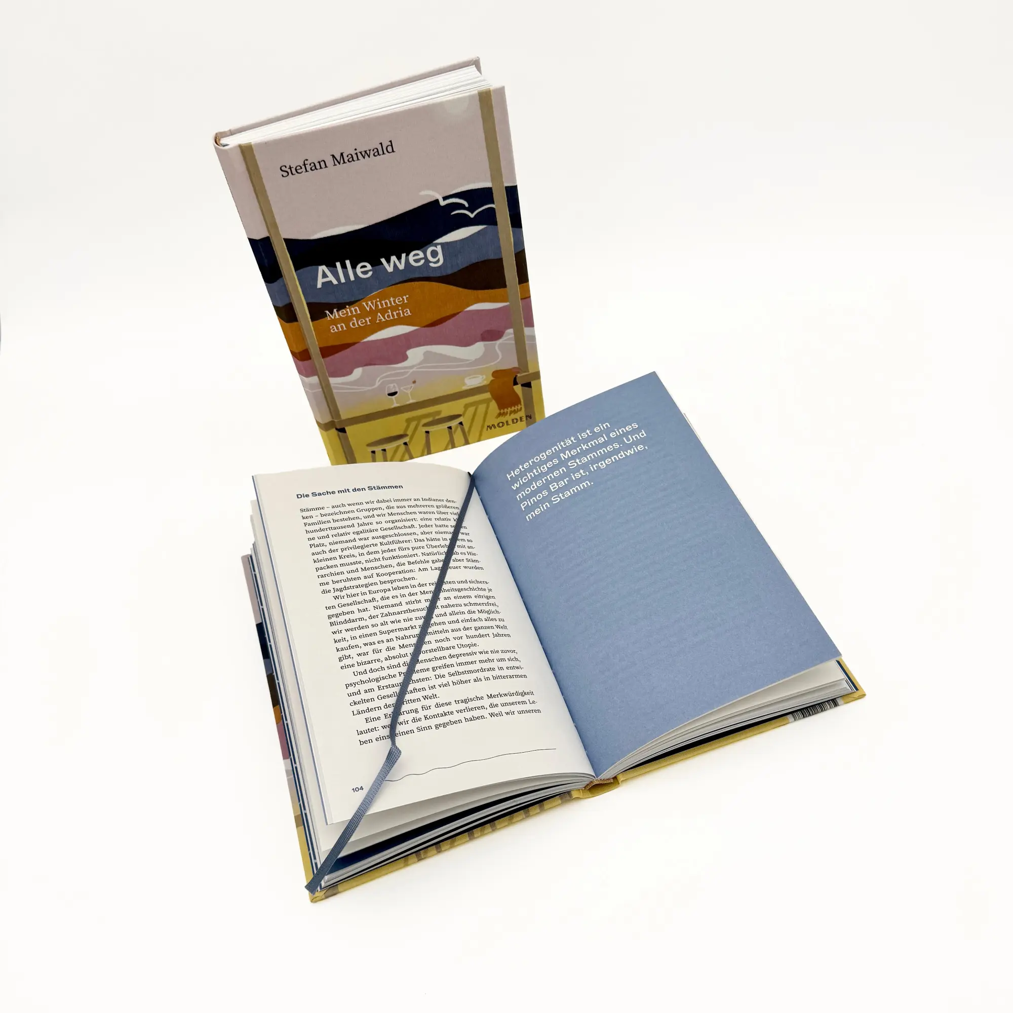 Bild: 9783222151477 | Alle weg | Mein Winter an der Adria | Stefan Maiwald | Buch | 208 S.