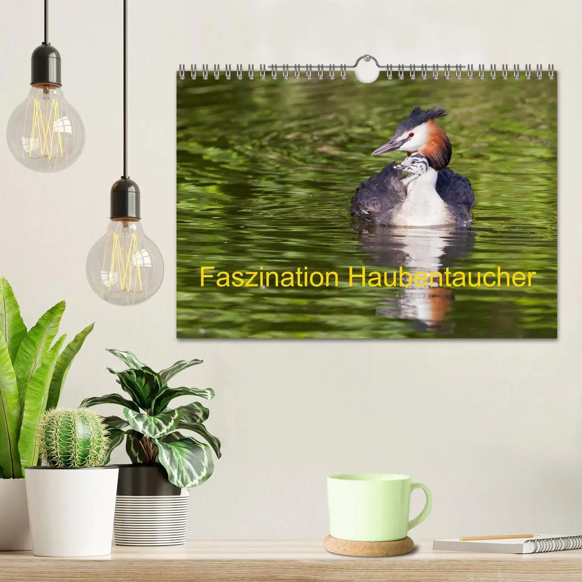 Bild: 9783457951477 | Faszination Haubentaucher (Wandkalender 2026 DIN A4 quer), CALVENDO...