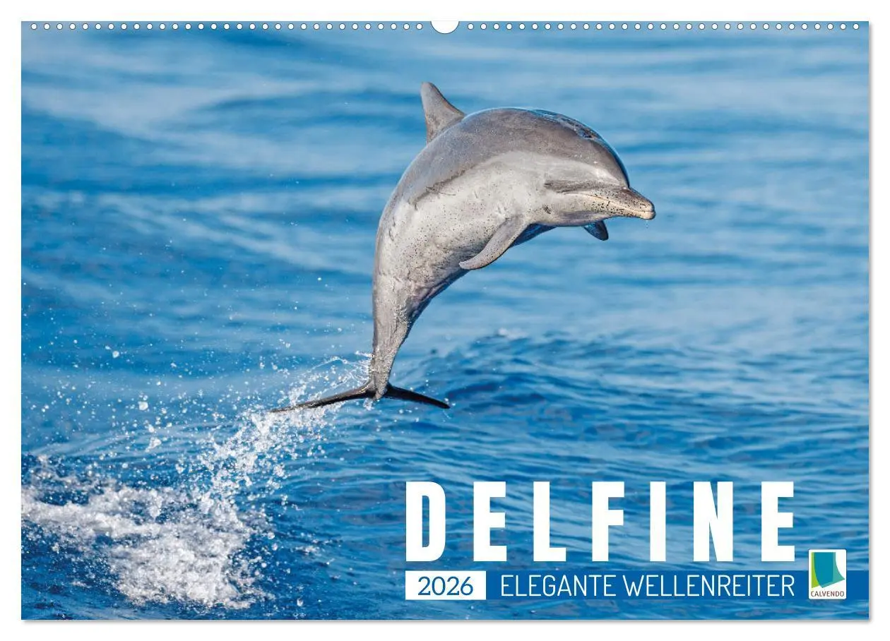 Cover: 9783457491577 | Delfine: Elegante Wellenreiter (Wandkalender 2026 DIN A2 quer),...
