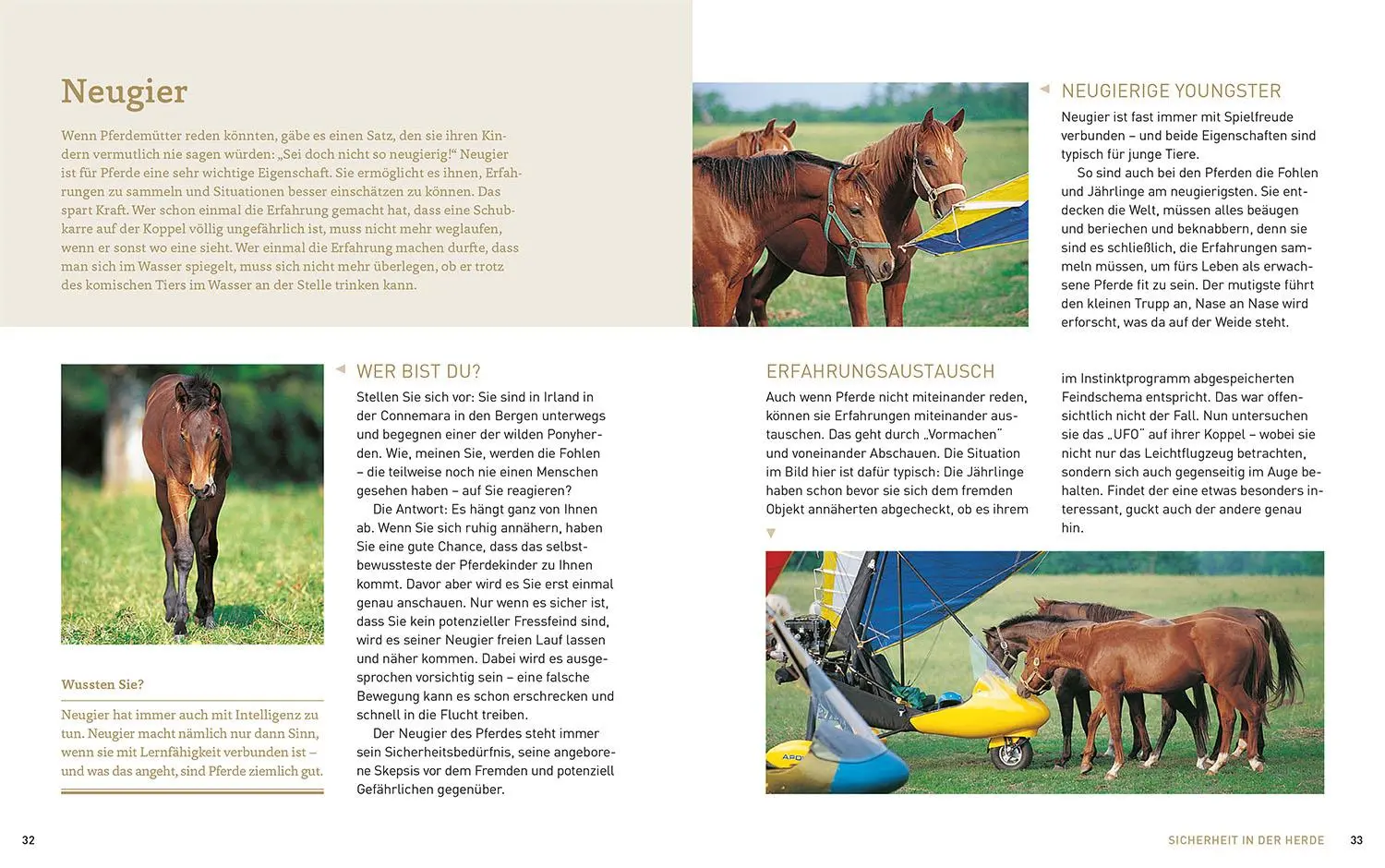 Bild: 9783440171677 | Pferde verstehen, erziehen und reiten | Silke Behling (u. a.) | Buch