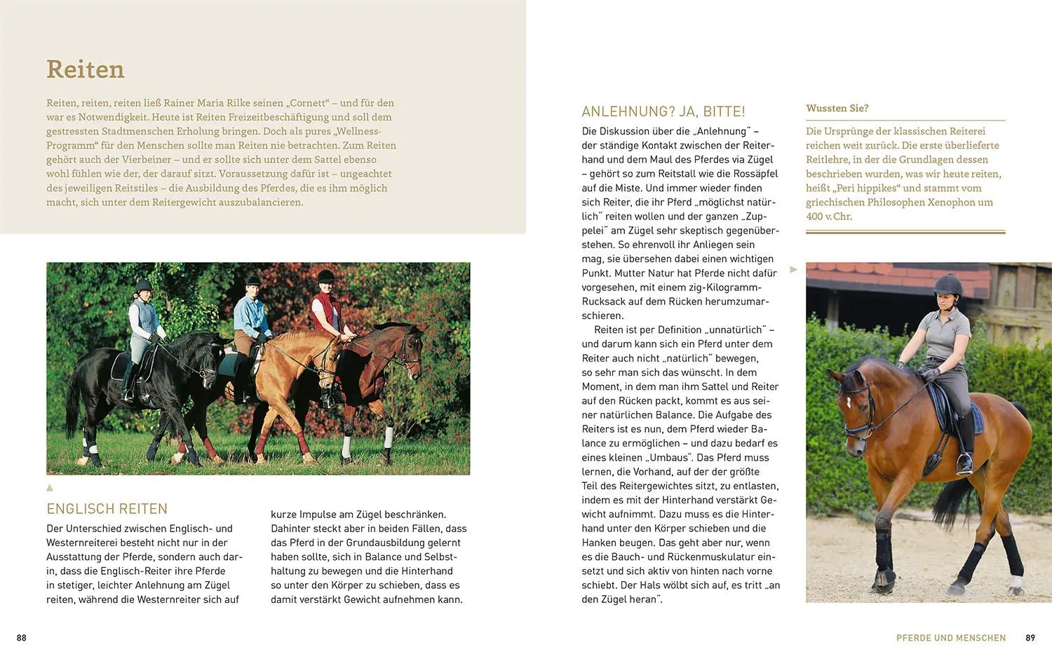 Bild: 9783440171677 | Pferde verstehen, erziehen und reiten | Silke Behling (u. a.) | Buch