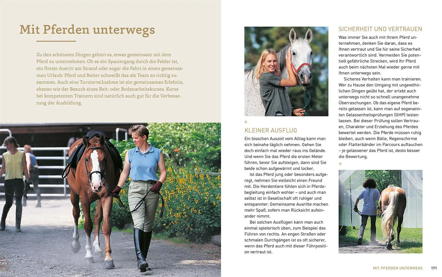 Bild: 9783440171677 | Pferde verstehen, erziehen und reiten | Silke Behling (u. a.) | Buch