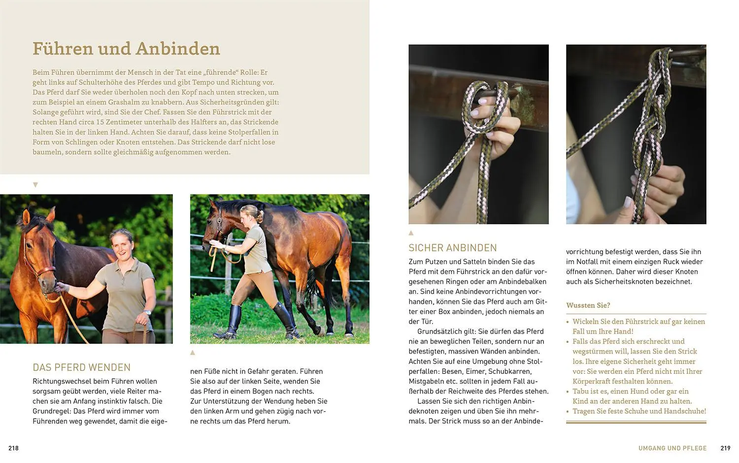 Bild: 9783440171677 | Pferde verstehen, erziehen und reiten | Silke Behling (u. a.) | Buch