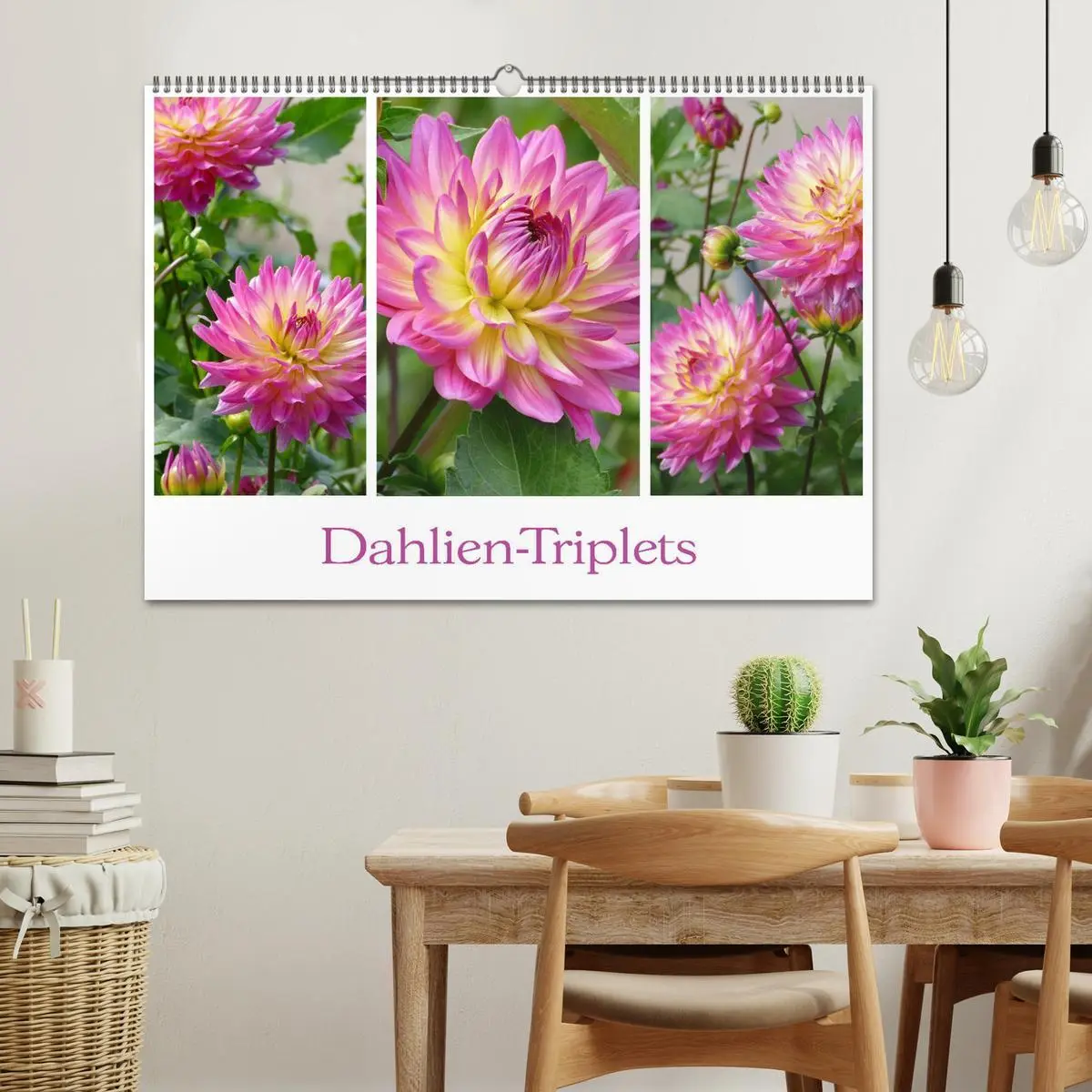 Bild: 9783457861677 | Dahlien-Triplets (Wandkalender 2026 DIN A2 quer), CALVENDO...