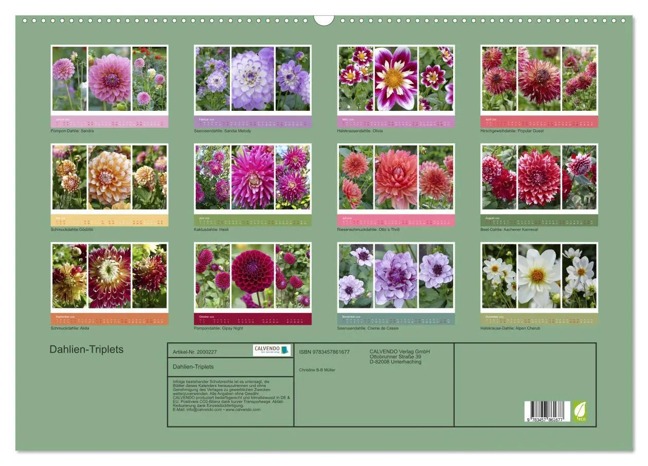 Bild: 9783457861677 | Dahlien-Triplets (Wandkalender 2026 DIN A2 quer), CALVENDO...