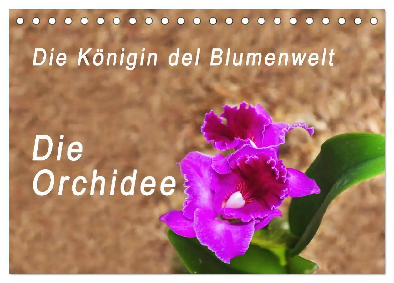 Cover: 9783457931677 | Die Königin der Blumenwelt, die Orchidee (Tischkalender 2026 DIN A5...
