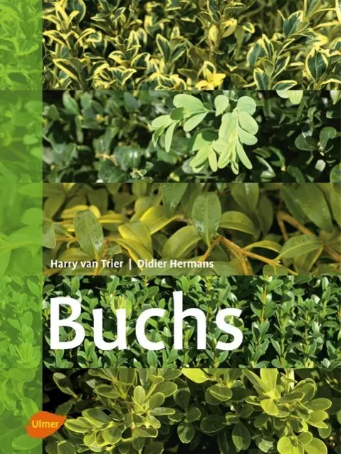Cover: 9783800151677 | Buchs | Harry/Hermans, Didier van Trier | Buch | 144 S. | Deutsch