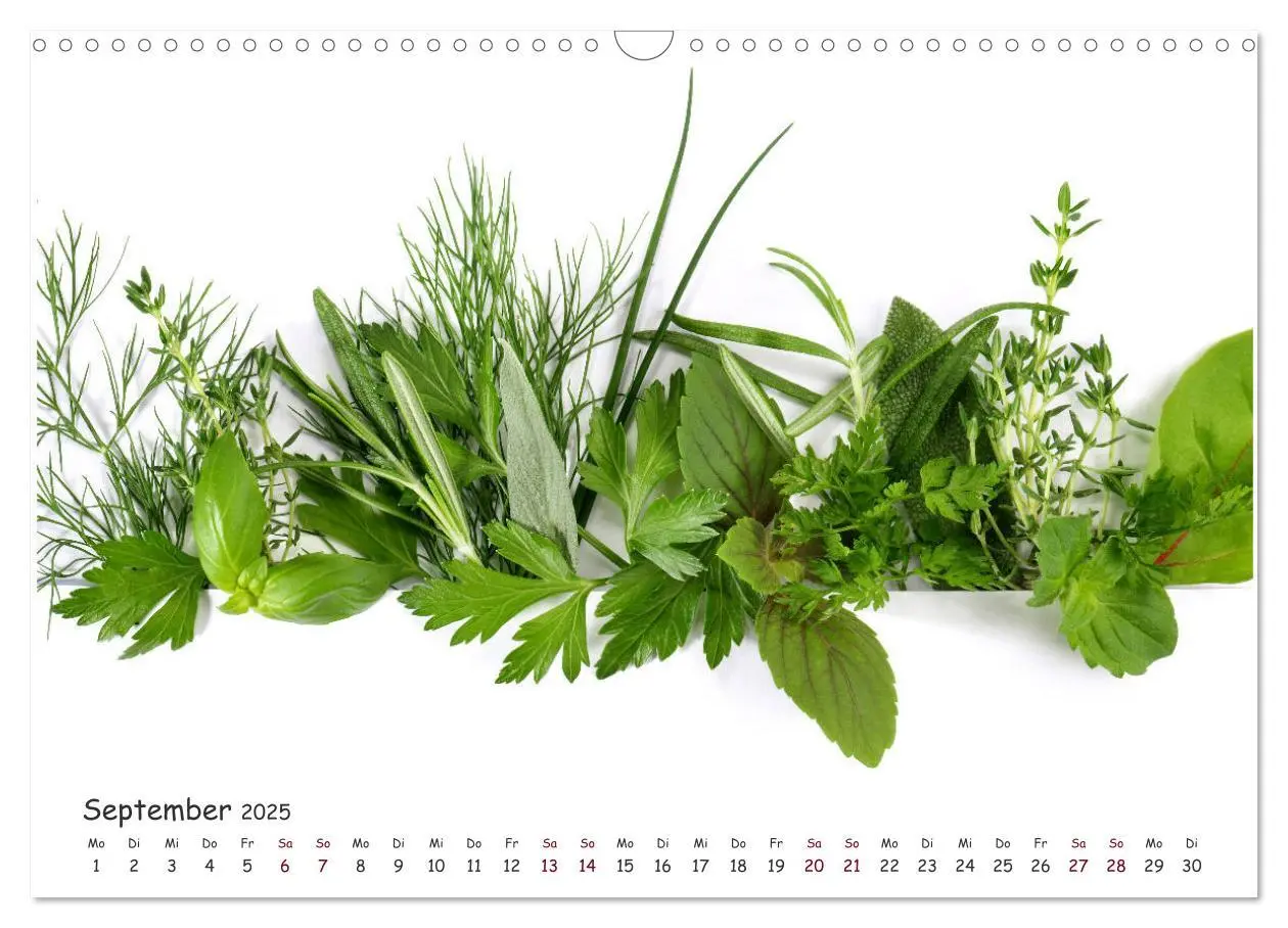 Bild: 9783435211777 | Food Panorama - Küchenkalender 2025 (Wandkalender 2025 DIN A3...