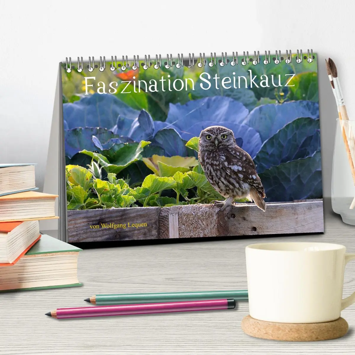Bild: 9783457611777 | Faszination Steinkauz (Tischkalender 2026 DIN A5 quer), CALVENDO...