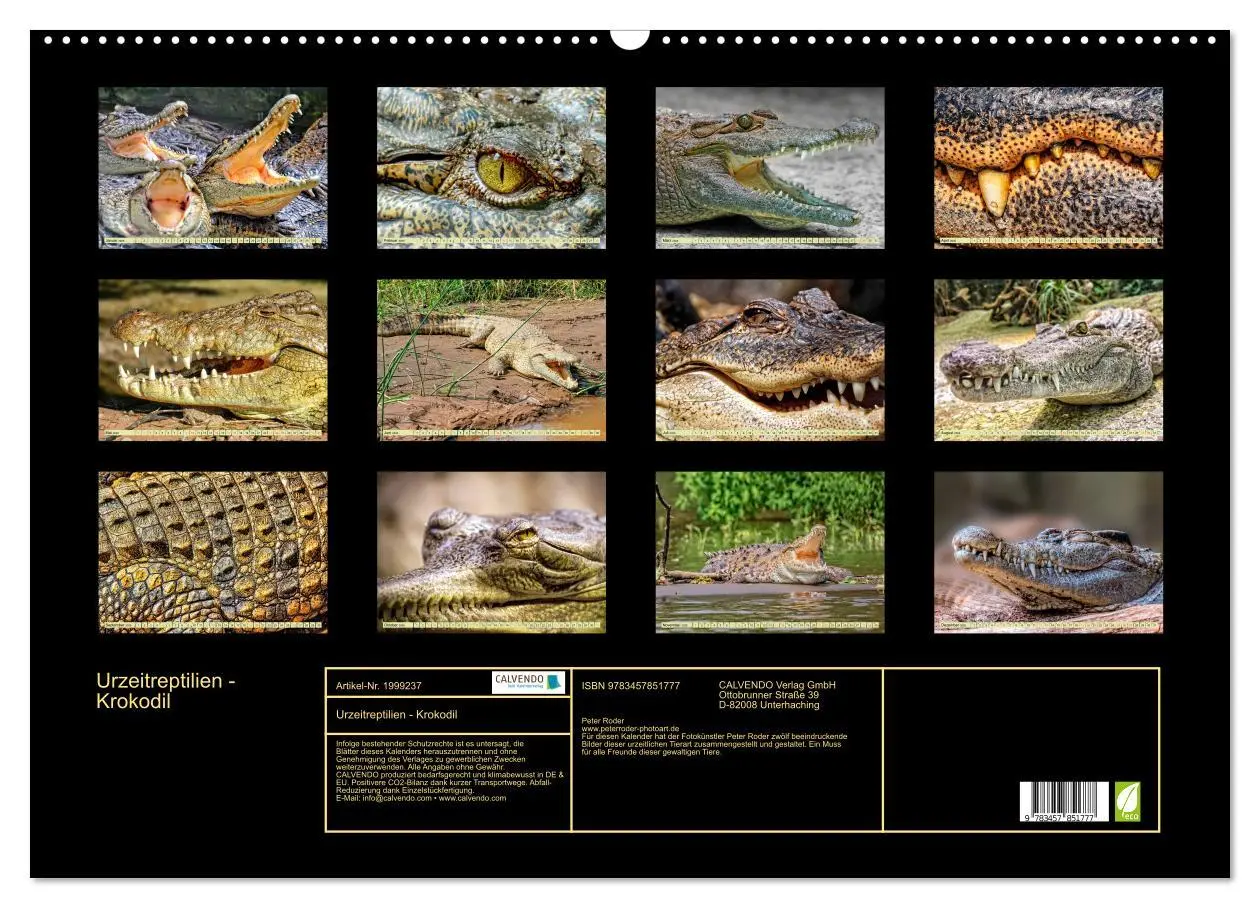 Bild: 9783457851777 | Urzeitreptilien - Krokodil (Wandkalender 2026 DIN A2 quer),...