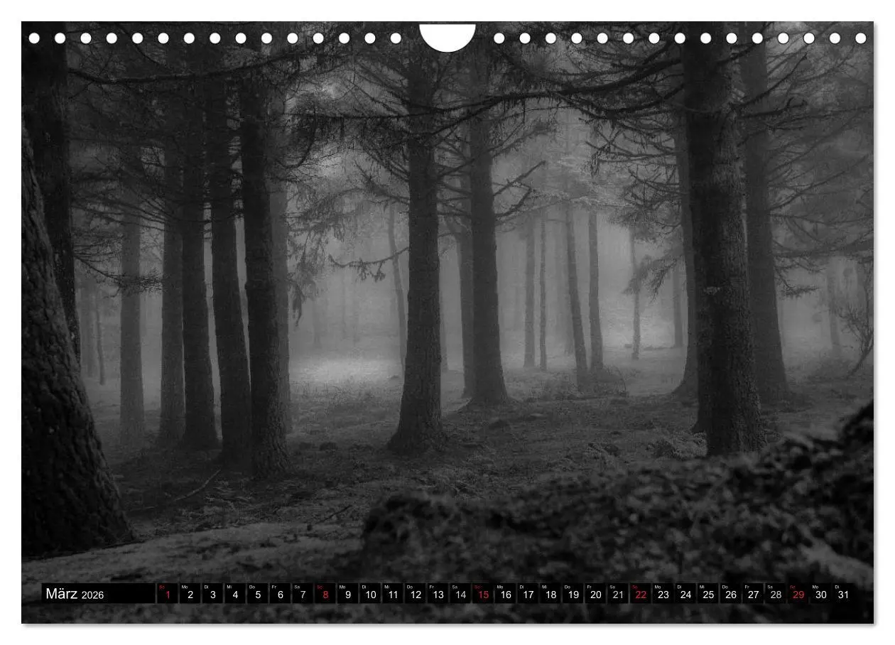Bild: 9783516181777 | Stille Momente in Schwarz-Weiss (Wandkalender 2026 DIN A4 quer),...