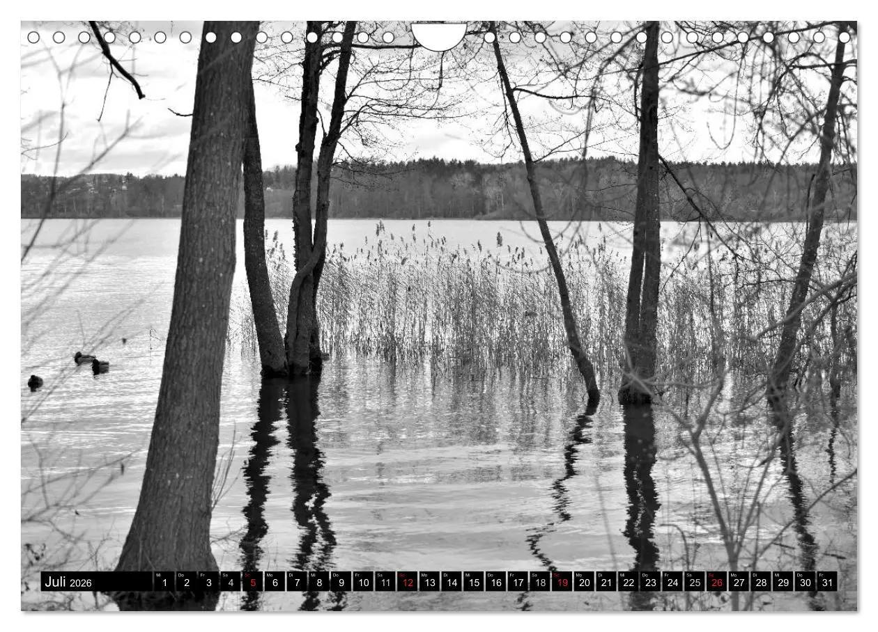 Bild: 9783516181777 | Stille Momente in Schwarz-Weiss (Wandkalender 2026 DIN A4 quer),...
