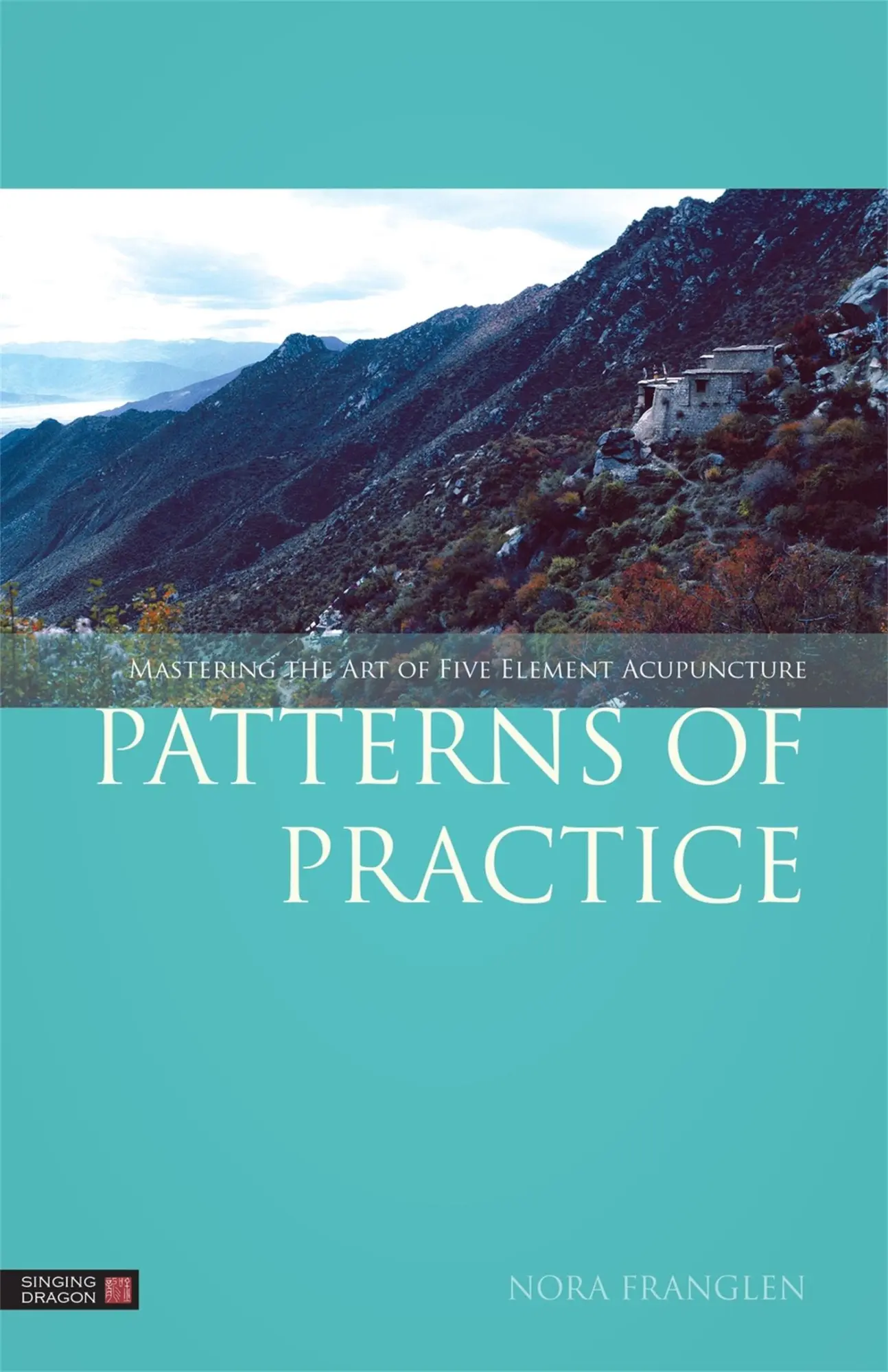Cover: 9781848191877 | Patterns of Practice | Mastering the Art of Five Element Acupuncture