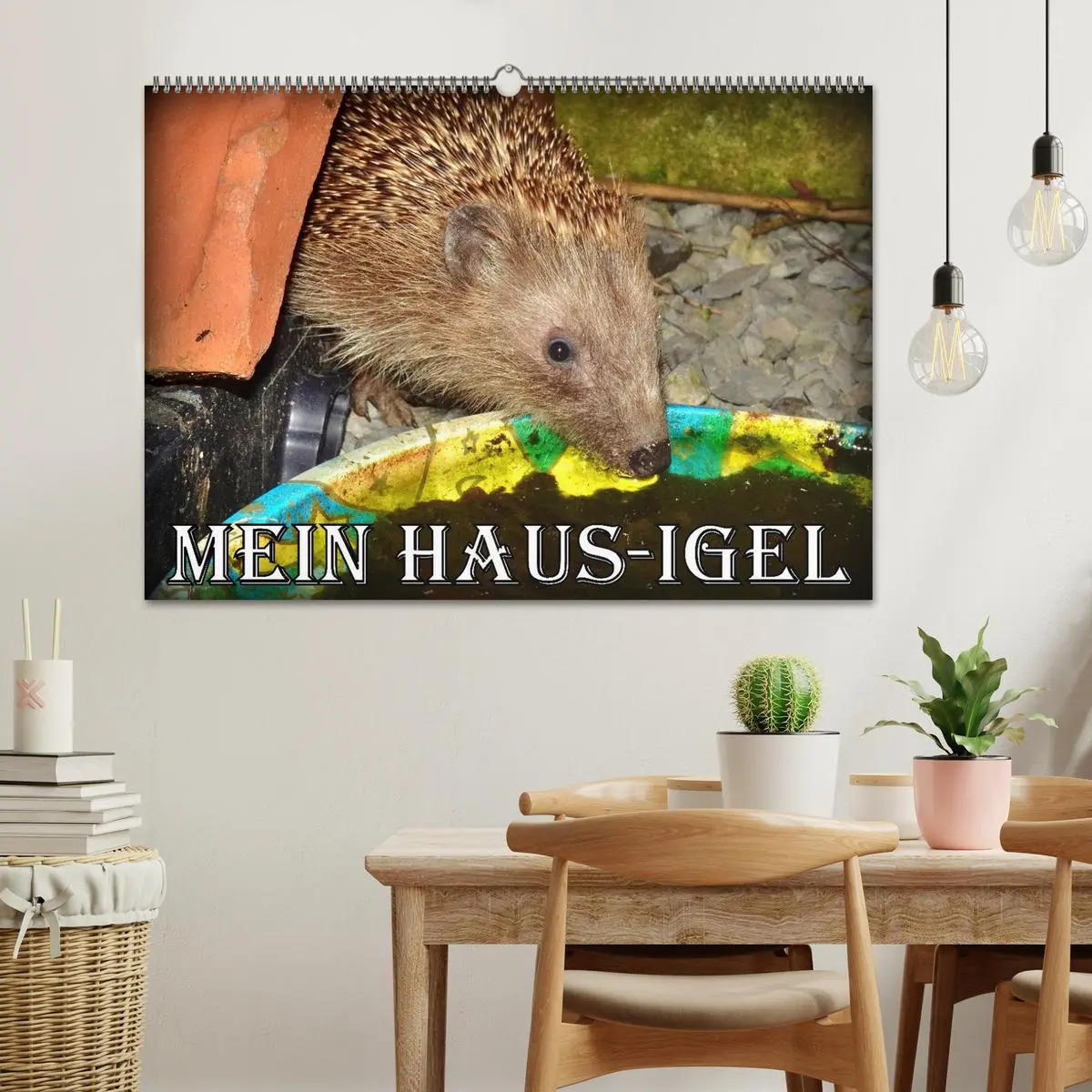 Bild: 9783457391877 | Mein Haus-Igel (Wandkalender 2026 DIN A2 quer), CALVENDO...