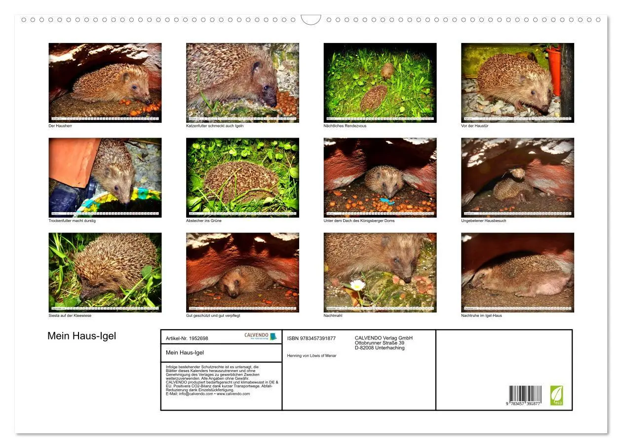 Bild: 9783457391877 | Mein Haus-Igel (Wandkalender 2026 DIN A2 quer), CALVENDO...