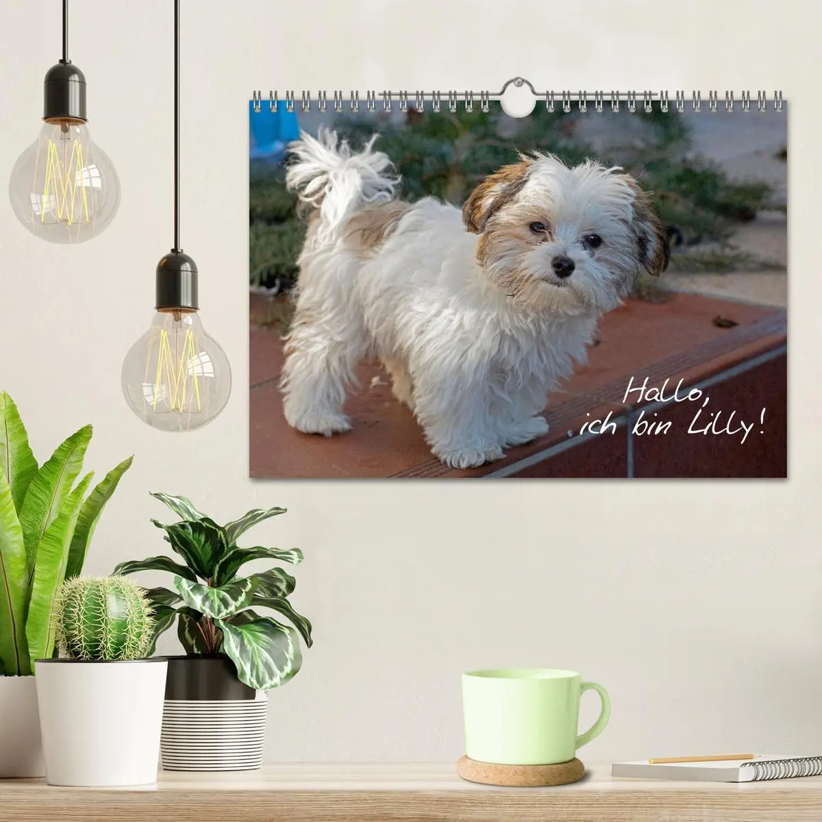 Bild: 9783457601877 | Hallo, ich bin Lilly (Wandkalender 2026 DIN A4 quer), CALVENDO...