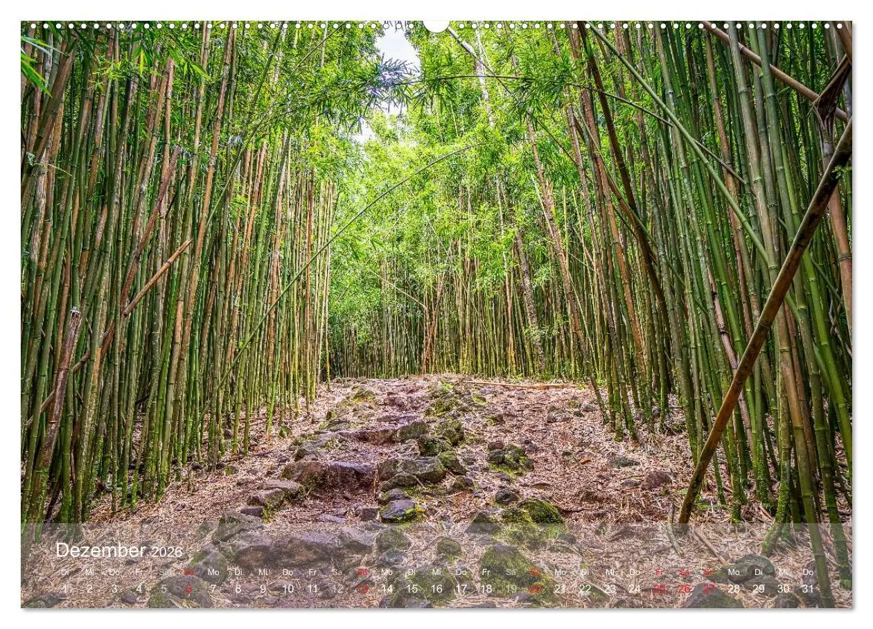 Bild: 9783457771877 | Hawaii - Maui Trauminsel im Pazifik (hochwertiger Premium...