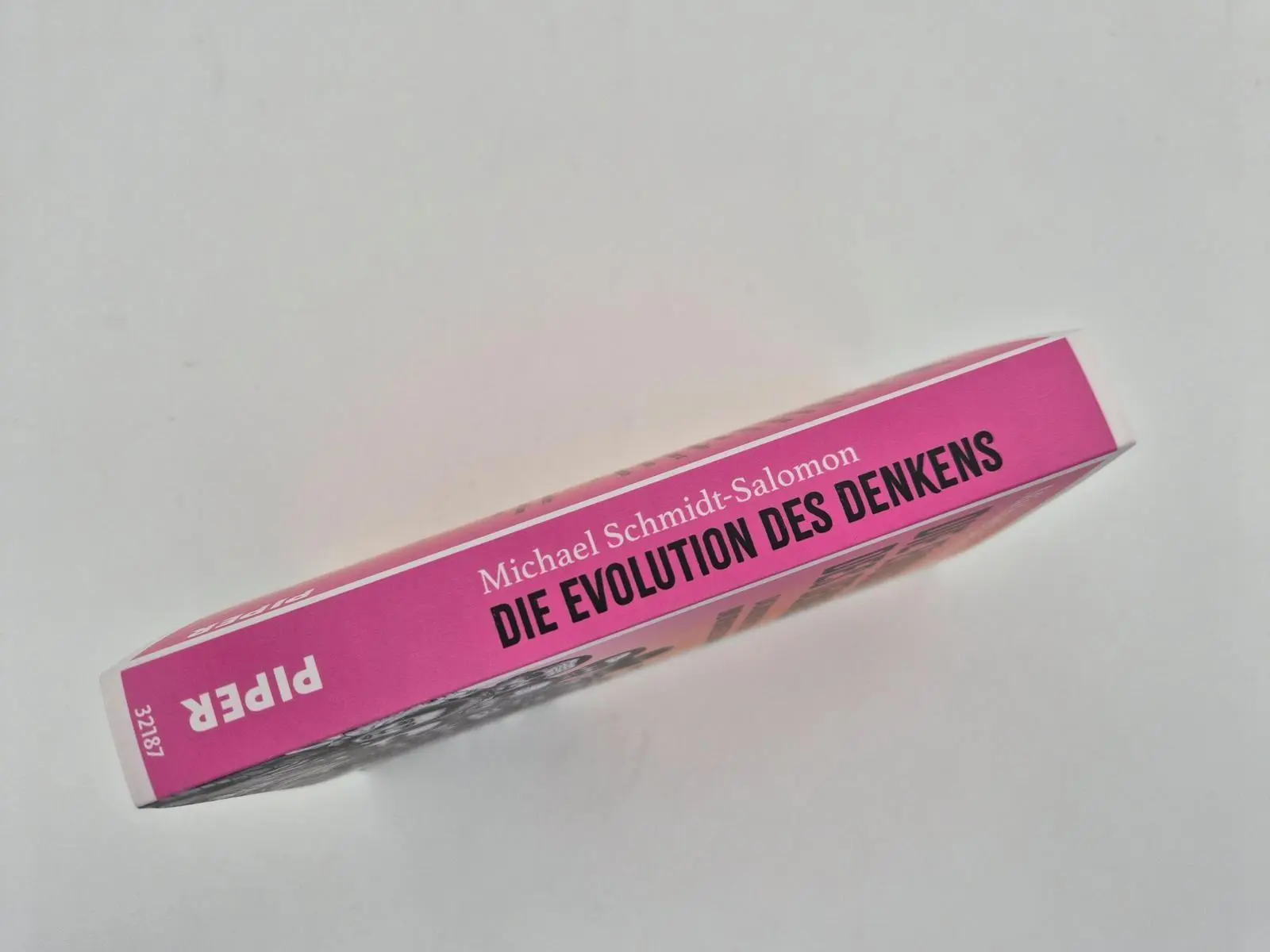 Bild: 9783492321877 | Die Evolution des Denkens | Michael Schmidt-Salomon | Taschenbuch