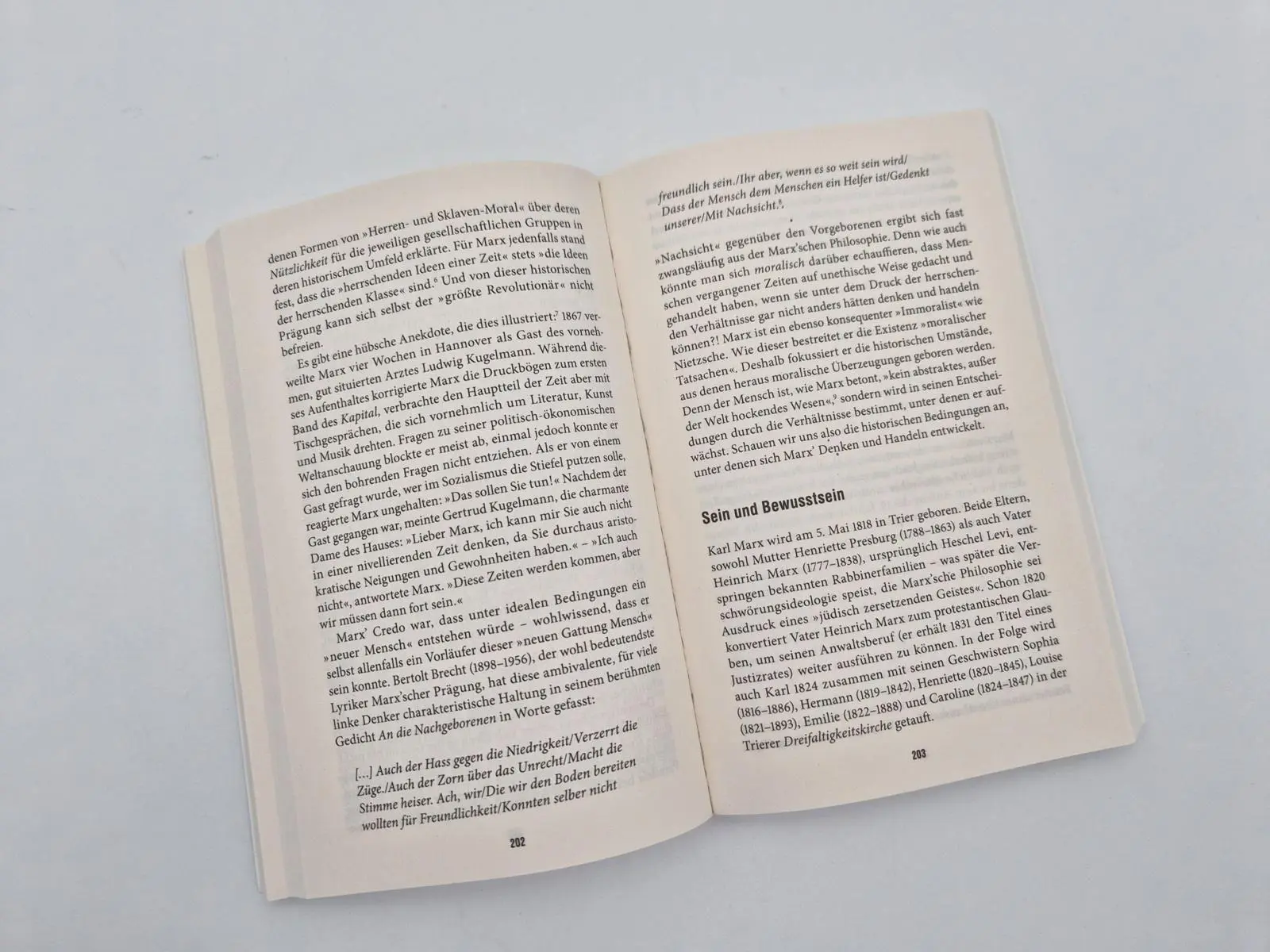 Bild: 9783492321877 | Die Evolution des Denkens | Michael Schmidt-Salomon | Taschenbuch