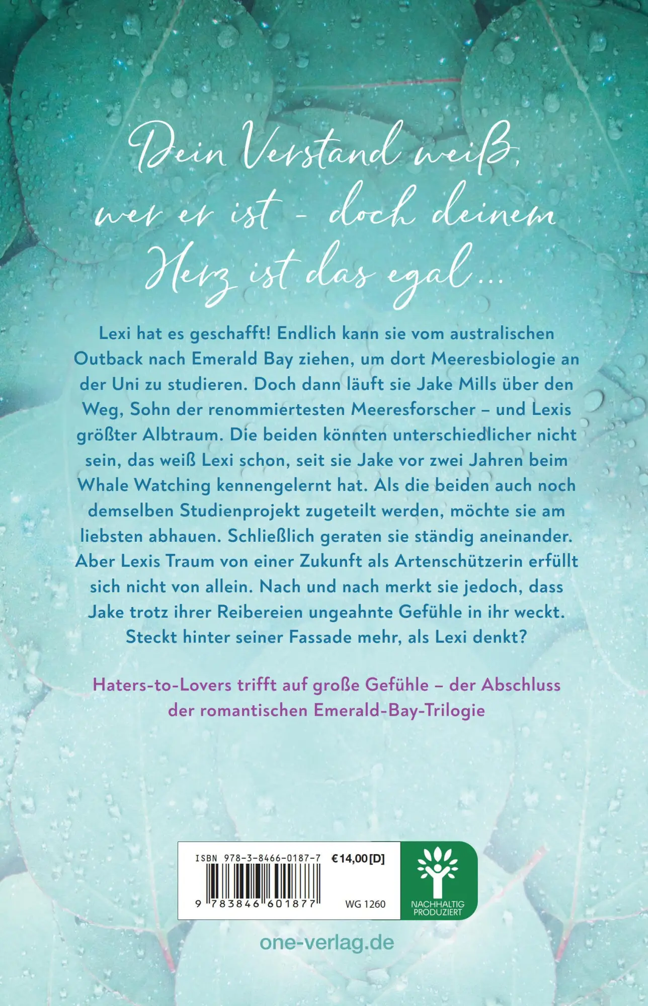 Bild: 9783846601877 | The dreams we chase - Emerald Bay, Band 3 | Lorena Schäfer | Buch